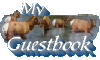 My Guestbook