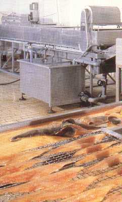 AFOS Automatic Briner with Conveyor