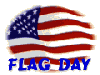 flag day gif