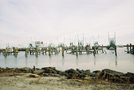 Shrimp Boats And Docks
