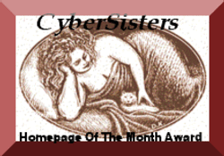 cybersister award banner