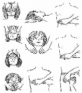 Hand positions. Graphics by Arla M. Ruggles. Copyright 1995