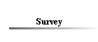 Survey