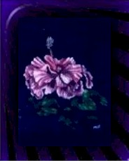 hibiscus.jpg (9949 bytes)