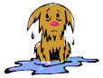 wetdog.gif (2864 bytes)