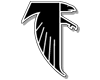 falcons.gif (1435 bytes)