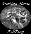 The Legendary Arabian Breed Webring