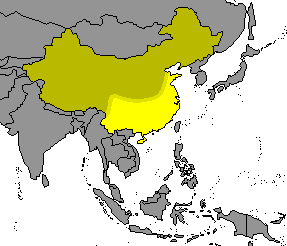 Southern China and Hong Kong