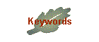 Keywords