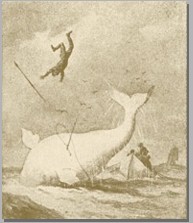 moby_dick.jpg