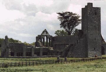 The Franciscan friary at Ardfert.