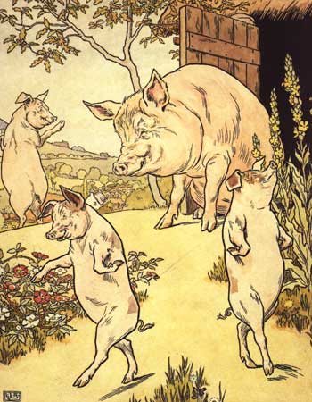 Three Pigs by Frederick Warne