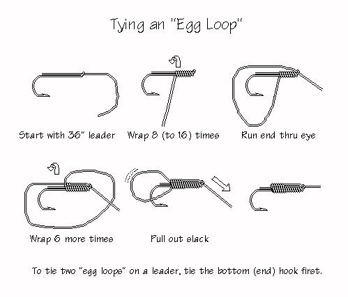 Egg Loop