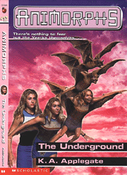 bk17.gif (37318 bytes)