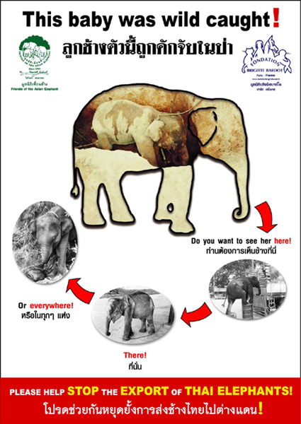 Friends of the Asian Elephant (FAE) Poster