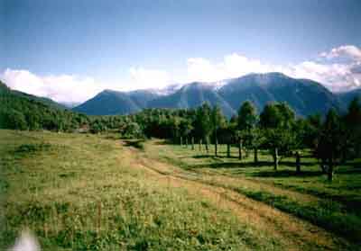 Altai