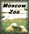 A collections photos from Moscow zoo