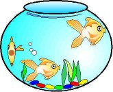 fishbowl.jpg (9395 bytes)