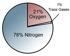 graph.gif (20312 bytes)