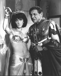 10x8 Carry On Cleo photo signed by Amanda Barrie