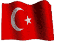 turkey21.gif (24185 bytes)