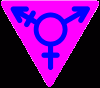 transgendered icon