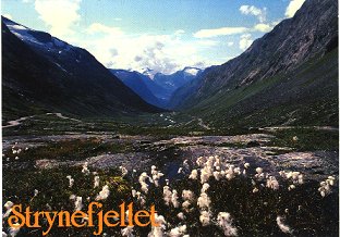 Strynefjellet