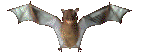 bat 10