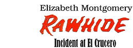 Rawhide: Incident at El Crucero