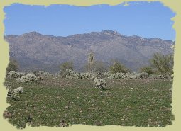 looking west to the Bradshaw Mntns from High Desert Park.