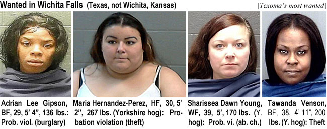 adrianle.jpg Wanted in Wichita Falls (Texas, not Wichita, Kansas) (Texoma's most wanted): Adrian Lee Gipson, BF, 29, 5'4", 136 lbs, prob. viol. (burglary); Maria Hernandez-Perez, HF, 30, 5'2", 267 lbs (Yorkshire hog), probation violation (theft); Sharissea Dawn Young, WF, 39, 5', 170 lbs (Y. hog), prob. vi. (ab. ch.); Tawanda Venson, BF, 38, 4' 11",200 lbs (Y hog), theft