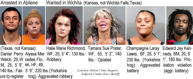 allyssame.jpg Arrested in Abilene (Texas, not Kansas): Daniel Perry Welch, 29, WM, 25, 5'9", 140 lbs, failure to register; Alyssa Mercedes Flores,HF, 49, 5'9", 220 lbs (Yorkshire hog), aggravated robbery; Wanted in Wichita (Kansas, not Wichita Falls,Texas): Tamara Sue Porter, WF, 65, 5'2", 140 lbs, opiates; Champaigne Laray Lewis, BF, 26, 5'1", 230 lbs (Yorkshire hog), aggravated battery; Edward Jay Kennedy, BM, 20, 6'1", 180 lbs, probation violation (aggr battery) (Abilene Crime Stoppers, Sedgwick County (Kas.) Sheriff)