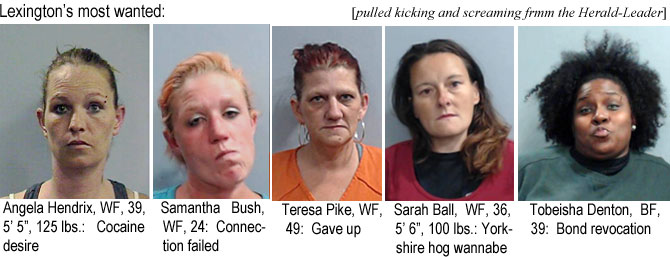 angelato.jpg Lexington's most wanted: Angela Hendrix, WF, 39, 5'5", 125 lbs, cocaine desire; Samantha bush, WF, 24, connecton failed; Teresa Pike, WF, 49, gave up; Sarah ball, WF, 36, 5'6", 100 lbs, Yorkshire hog wannabe; Tobeisha Denton, BF, 39, bond revocation (pulled kicking and screaming from the Herald-Leader)