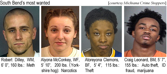 atoryona.jpg South Bend's most wanted (Michiana Crime Stoppers): Robert Dilley, WM, 6'0", 160 lbs, meth; Alyona McConkey, WF, 5'10", 200 lbs (Yorkshire hog), narcotics; Atoreyona Clemons, BF, 5'4", 115 lbs, theft; Craig Leonard, BM, 5'7", 155 lbs, auto theft, ID fraud, marijuana