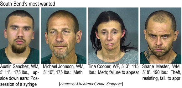 austmich.jpg South Bend's most wanted: Austin Sanchez, WM, 5'11", 175 lbs, upsidedown ears, possession of syinge; Michael Johnson, WM, 5'10", 175 lbs, possession of meth; Tina Cooper, WF, 5'3", 115 lbs, meth, failure to appear; Shane Mester, !M, 5'8", theft, resistring, fail. to appr. (Michiana Crime Stoppers)