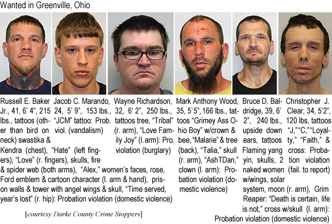 baldridg.jpg Wanted in Greenville,Ohio: Russell E. Baker Jr., 41, 6'4", 215 lbs, tattoos (other than bird on neck) swastika & Kendra (chest), "Hate" (l. fingers), "Love" (r. fingers), skulls, fire & spider web (both arms), "Alex," women's faces, rose, Ford emblem & cartoon character (l. arm & hand), prison walls & tower with angel wings & skull, "Time served, year's lost (r. hip), probation violation (domestic violence); Jacob C. Marando, 24, 5'9", 153 lbs, "JCM" tattoo, prob. viol. (vandalism); Wayne Richardson, 32, 6'2", 250 lbs, tattoos tree, "Tribal" (r. arm), "Love Family Joy" (l. arm), pro. violation (burglary); Mark Anthony Wood, 35, 5'5", 166 lbs, tattoos "Grimey Ass Ohio Boy" w/crown & bee, "Malarie" & tree (back), "Talia," skull (r. arm), "AshTDan," clown (l. arm), probation violation (domestic violence); Bruce D. Baldridge, 39, 6'2", 240 lbs, upside down ears, tattoos flaming yang yin, skulls, 2 naked women w/wings, solar system, moon (r. arm), Grim Reaper: "Death is certain, life is not," cross w/skull (l. arm), probation violation (domestic violence); Christopher J. Clear, 34, 5'2", 120 lbs, tattoos "J," "C," "Loyalty," "Faith," & cross, probation violation (fail. to report) (Darke County Crime Stoppers)