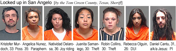 becaolgu.jpg Locked up in San Angelo (by the Tom Green County, Texas, Sheriff): Kristofer Murdoch, 33, poss.; Agelica Nunez, 35, paraphern.; Natividad Delarosa, 36, joy riding; Juanita Samaniego, 30, theft; Robin Collins, 30, theft; Rebeca Olguin, 26, DUI; Daniel Cantu, 31, a/k/a Jesus, PI