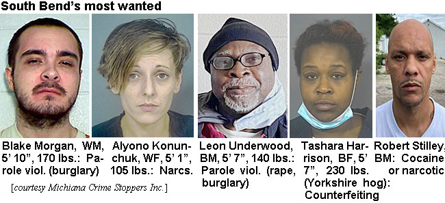 blakemor.jpg South Bend's most wanted: Blake Morgan, WM, 5'10", 170 lbs, parole viol (burglary); Alyono Knonuchuk, WF, 5'1", 105 lbs, narcs; Leon Underwood, BM, 5'7", 140 lbs, parole viol (rape, burglary); Tashara Harrison, BF, 5'7", 230 lbs (Yorkshire hog), counterfeiting; Robert Stilley, BM, cocaine or narcotic