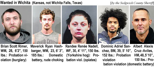 brianryn.jpg Wanted in Wichita (Kansas, not Wichita Falls,Texas) (Sedgwick County Sheriff): Brian Scott Rimer, WM, 28, 6'2", 150 lbs, probation violation (burglary); Maverick Ryan Hashbarger, WM, 23, 6'3", 185 lbs, domestic battery, rude choking; Randee Renée Nadell, WF, 30, 4'11", 150 lbs (Yorkshire hog), probation viol. (opiates); Dominic Adriel Sanchez, BM, 39, 5'10", 152 lbs, probation violation; Albert Alexia Cruz-Aviles, HM, 58, 5'10", 150 lbs, probation violatikon (domestic battery)