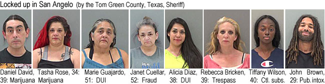 dandavid.jpg Locked up in San Angelo (by the Tom Green County,Texas,Sheriff): Daniel David, 39, marijuana; Tasha Rose, 34, marijuana; Marie Guajardo, 51, DUI; Janet Cuellar, 52, fraud; Alicia Diaz, 38, DUI; Rebecca Bricken, 39, trespass; Tiffany Wilson, 40, ctl. subs.; John Brown, 29, pub. intox.