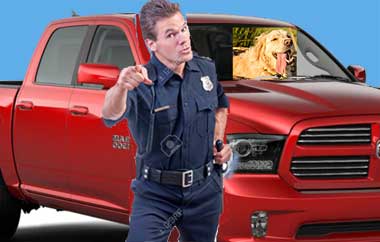 doggycop.jpg