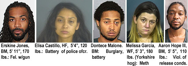 erskinej.jpg Erskine Jones, BM, 5'11", 170 lbs, fel. w/gun; Elisa Casrillo, HF, 5'4", 120 lbs, battery of police ofcr.; Dontece Malone, BM, burglary, battery; Melissa Garcia, WF, 5'3', 180 lbs (Yokshire hog), meth; Aaron Hope III, BM, 5'5", 110 lbs, viol. of release conds.