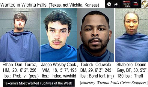 ethandan.jpg Wanted in Wichita Falls (Texas, not Wichita, Kansas): Ethan Dan Torrez, HM, 20, 6'2"m 256 lbs, prob.vi. (pos.); Jacob Wesley Cook, WM, 18, 5'7", 195 lbs, indec. w/child; Tedrick Oduwule, BM, 29, 6'3", 245 lbs, bond forf. (mj); Shaielle Deann Gay, BF, 30, 5'5", 180 lbs, theft (Texoma's most wanted fugitives of the week, courtesy Wichita Falls Crime Stoppers)