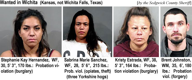 hernancz.jpg Wanted in Wichita (Kansas, not Wichita Falls, Texas) (Sedgwick County Sheriff): Stephanie Kay Hernandez, WF, 30, 5'3", 170 lbs, probation violation (burglary); Sabrina Marie Sanchez, WF, 28, 5'6", 215 lbs, prob. viol. (opiates, theft); Kristy Estrada, WF, 38, 5'3", 164 lbs, probation violation (burglary); three Yorkshire hogs; Brent Johnston, WM, 35, 6', 180 lbs, probation viol. (forgery)