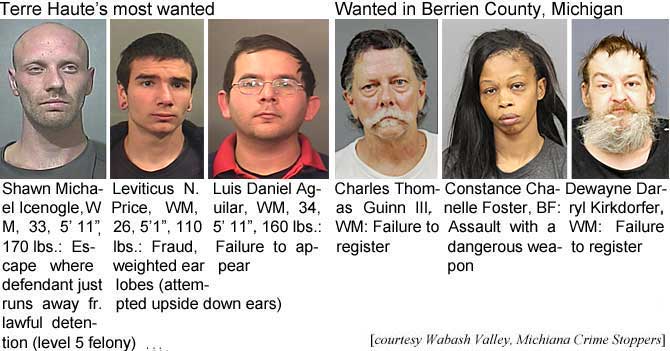 icenogle.jpg Terre Haute's most wanted: Shawn Michael Icenogle, 33, 5'11", 170 lbs, escape where defendant just runs away from lawful detention (level 5 felony); Leviticus N. Price, WM, 26, 5'1", 110 lbs, fraud, weighted ear lobes (attempted upside down ears); Luis Daniel Agilar, WM, 34, 5'11", 160 lbs, failure to appear; Wanted in Berrien County, Michigan: Charles Thomas Guinn III, WM, failure to register; Constance Chanelle Foster, BF, assault with a dangerous weapon; Dewayne Darryl Kirkdorfer, WM, failure to register (Wabash Valley, Michiana Crime Stoppers)