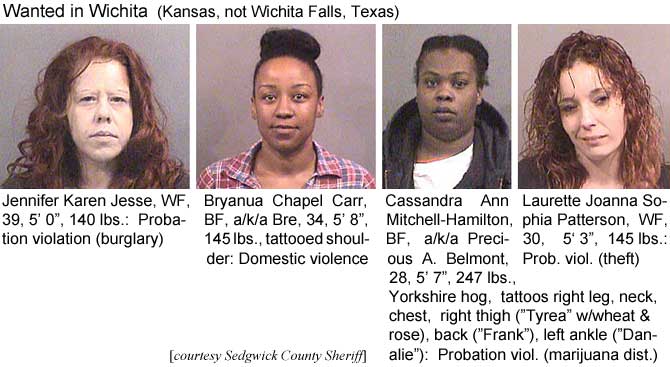 jenbryun.jpg Wanted in Wichita (Kansas, not Wichita Falls, Texas): Jennifer Karen Jesse, WF, 39, 5'0", 140 lbs, probation violation (burglary); Bryanua Chapel Carr, BF, a/k/a Bre, 34, 5'8", 145 lbs, tattooed shoulder, domestic violence; Cassandra Ann Mitchell-Hamilton, BF, a/k/a Precious A. Belmont, 28, 5'7", 247 lbs, Yorkshire hog, tattoos right leg, neck, chest, right thigh ("Tyrea" w/wheat & rose), back ("Frank"), left ankle ("Danalie"), probation vol. (marijuana dist.); Laurette Joanna Sophia Patterson, WF, 30, 5'3", 145 lbs, prob. viol. (theft) (Sedgwick County Sheriff)