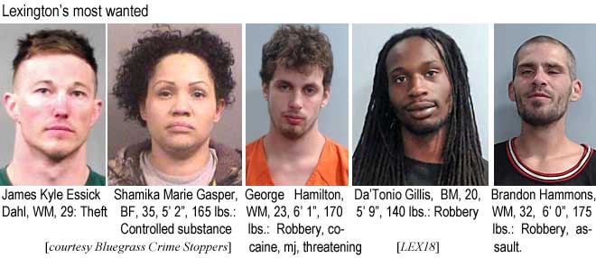 jsessick.jpg James Kyle Essick Dahl, WM, 29, theft; Shamika Marie Gasper, BF, 35, 5'2", 165 lbs, controlled substance; George Hamilton, WM, 23, 6'1", 170 lbs, robbery, cocaine, mj, thrreatening; Da'Tonio Gillis, BM, 20, 5'9", 140 lbs, robbery; Brandon Hammons, WM, 32, 6'0", 175 lbs, robbery, assault