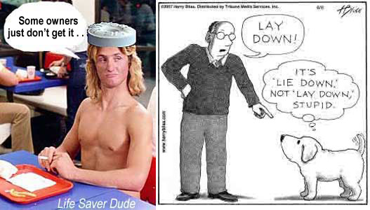 lifedown.jpg "Lay down" "It's 'lie down,' not 'lay down,' Stupid" LIfe Saver Dude: Some owners just don't get it