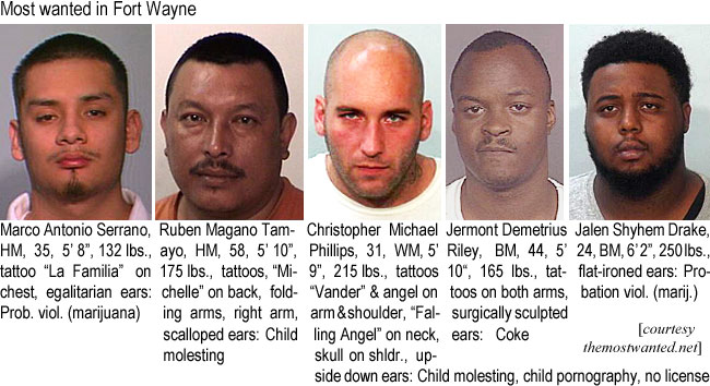 marcanto.jpg Most wanted in Fort Wayne:: Marco Antonio Serrano, HM, 35, 5'8", 132 lbs, tattoo"La Familia" on chest, egalitarian ears, prob. viol. (marijuana); Ruben Magano Tamayo, HM, 58, 5'10", 175 lbs, tattoos "Michelle" on back, folding arms, right arm, scalloped ears, child molesting; Christopher Michael Phillips, 31, WM, 5'9", 215 lbs, tattoos "Vander" & angel on arm & shoulder, "Falling Angel" on neck, skull on shldr, upside down ears, child molesting, child pornography, no license; Jermont Demetrius Riley, BM, 44, 5'10", 165 lbs, tattoos on both arms, surgically sculpted ears, coke; Jalen Shyhem Drake, 24, BM, 6'2", 250 lbs, flat-ironed ears, probation viol. (marij) (themostwanted.net)