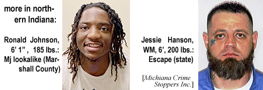 morenort.jpg more in nothern Indiana: Ronald Johnson, 6'1", 185 lbs, Mj lookalike (Marshall County), Jessie Hanson, WM, 6', 200 lbs, Escape (state) (Michiana)